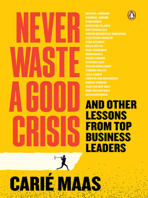 cover image of Never Waste a Good Crisis